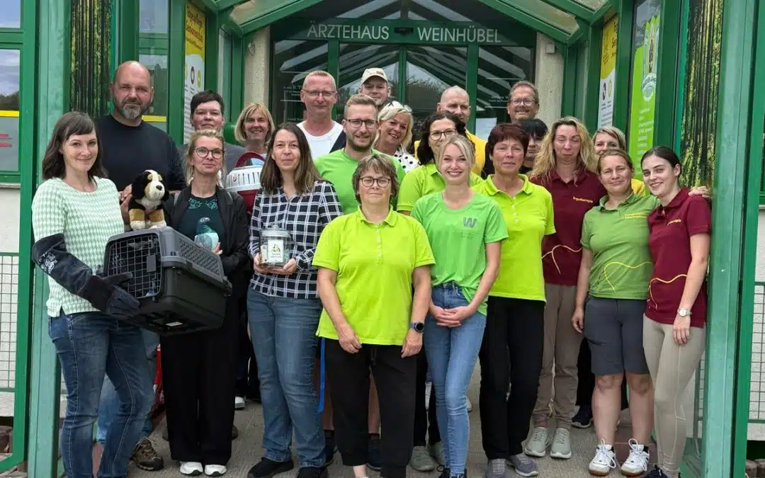 Erfolgreiche Premiere unseres Infostands